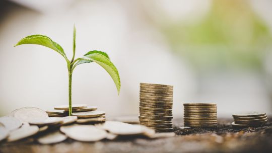 6 din 10 companii vor să investească mai mult în 2024, în contextul schimbărilor climatice