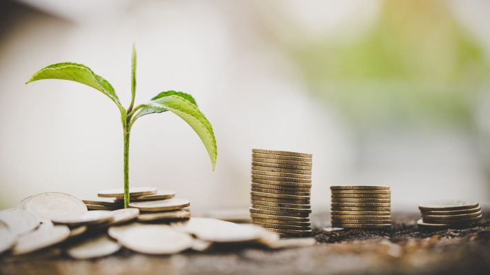 6 din 10 companii vor să investească mai mult în 2024, în contextul schimbărilor climatice