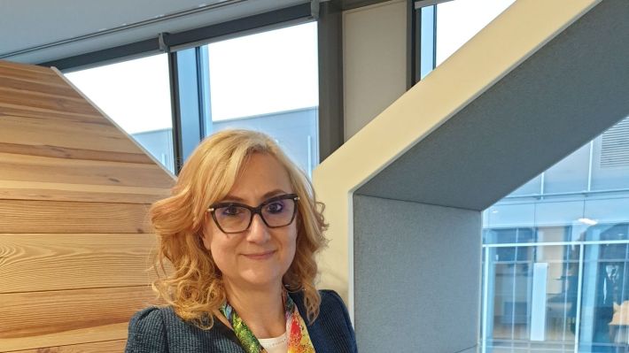 Lucica Pitulice, noul Chief Financial Officer al ING Bank România
