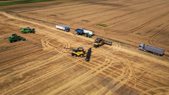 Veniturile Holde Agri Invest au crescu cu 46% în 2021