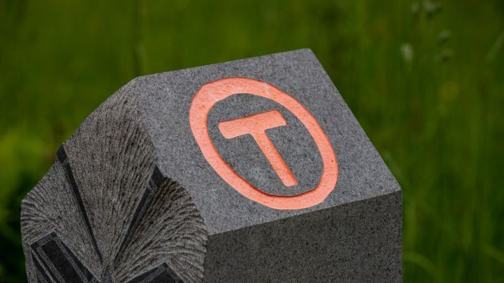 5.000 de nuci plantați de Tășuleasa Social și Raiffeisen Bank în zona Copșa Mică