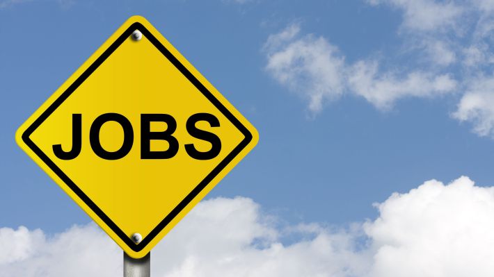 Piața muncii înflorește, în pofida contextului incert
