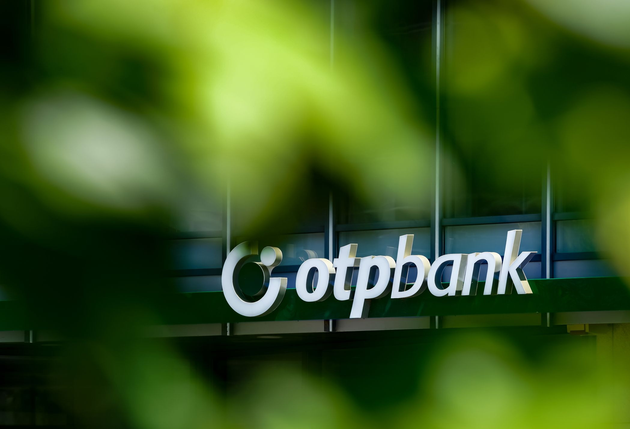 OTP Bank România creează Departamentul de Sustenabilitate