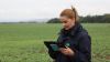 2022, un an al digitalizării pentru sectorul asigurărilor agricole