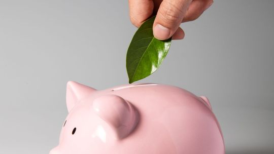 Sustenabilitatea, în topul agendei de investiții în tehnologii emergente