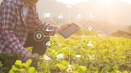 Valoarea creditelor noi acordate de CEC Bank agricultorilor a crescut cu 80% în 2022