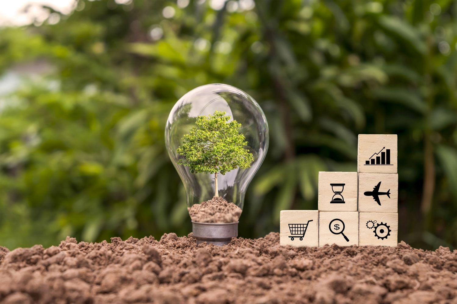 CEC Bank finanțează proiecte verzi