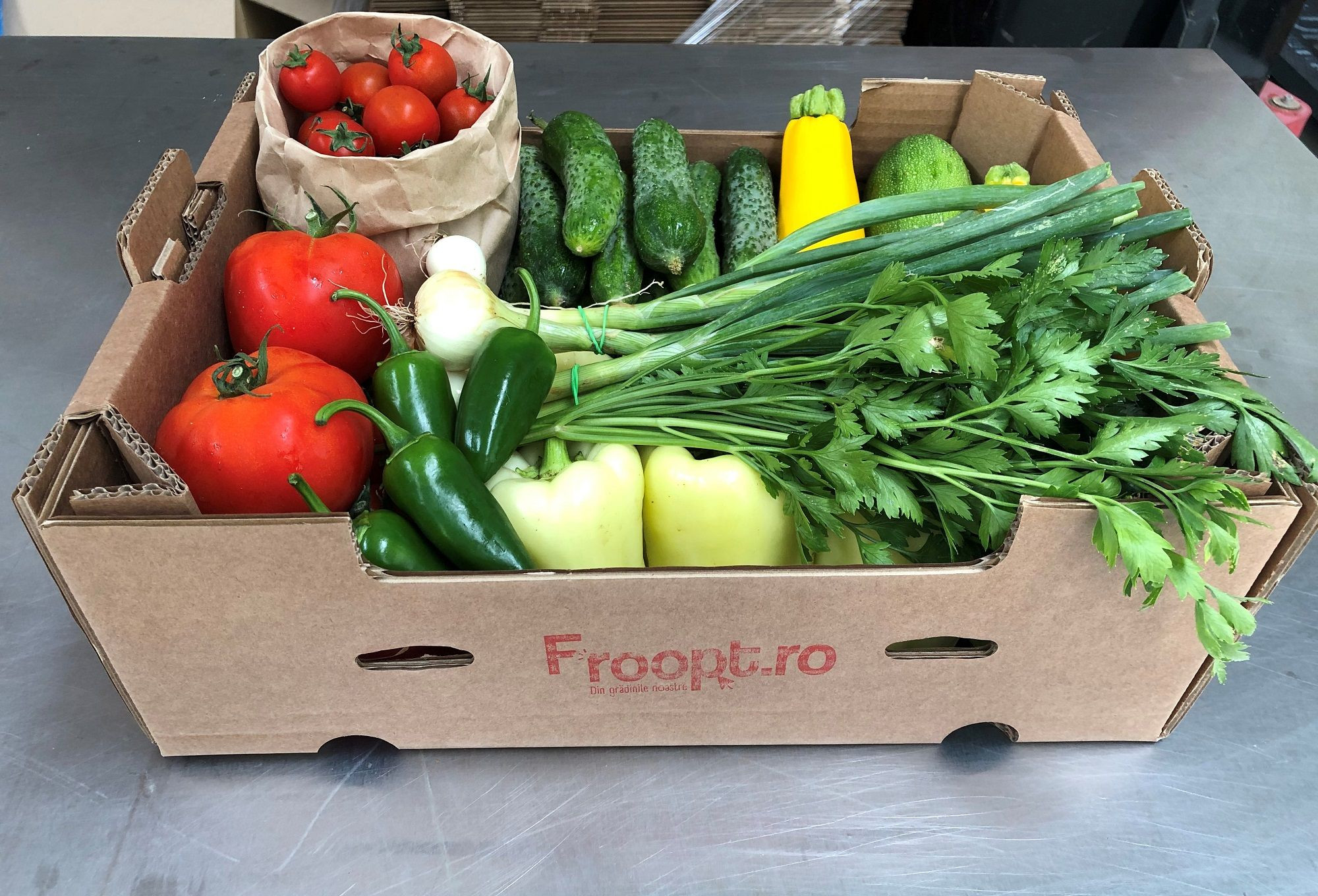 Froopt a intrat în portofoliul de investiții Netopia Ventures