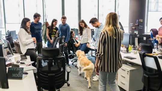 Betfair Romania Development vrea să ajungă la 1.500 de angajați până în 2023