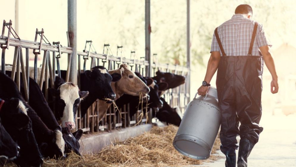 Ce se întâmplă cu românii care au credite agricole de la CEC: Banca statului anunță cum pot fi refinanțate împrumuturile