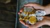 Firmele de criptomonede se vor dezvolta offshore, fără reguli clare în SUA, spune CEO-ul Coinbase