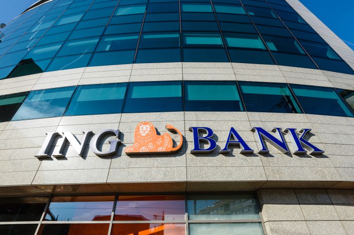 ING Bank, credit de 8,5 milioane de euro pentru grupul Promateris