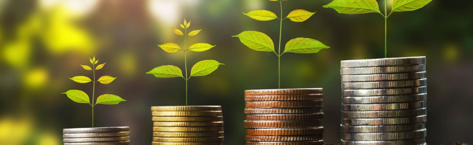 Raiffeisen Bank a lansat prima serie de obligațiuni sustenabile